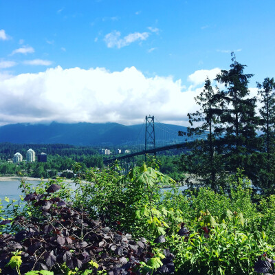 Lions' Gate Bridge