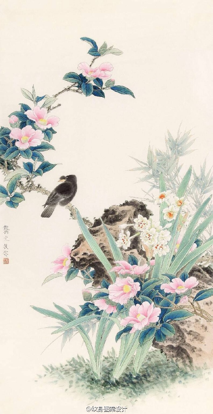 山茶花.