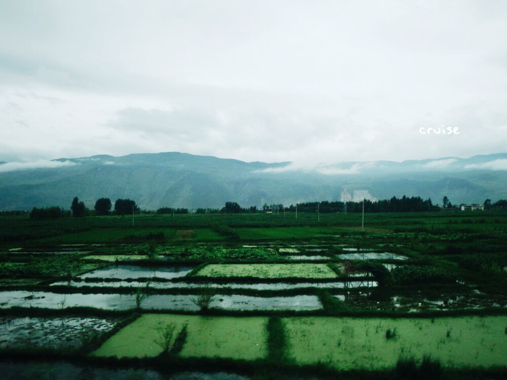 [cruise]走走停停，看不完的风景