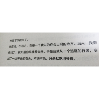 于是我从一个追逐的行者变成了一块等夫的石头，不动声色，默默的等着