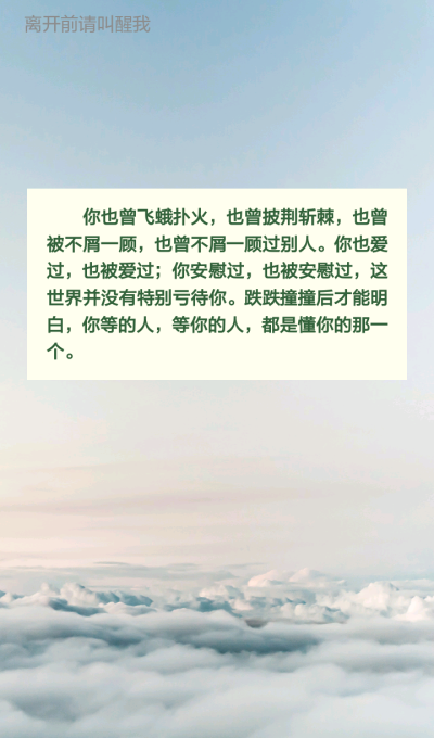 《离开前请叫醒我》