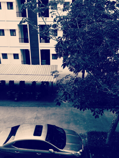 #倒计时44天#重点高中的名额给了七个人，有点儿意思