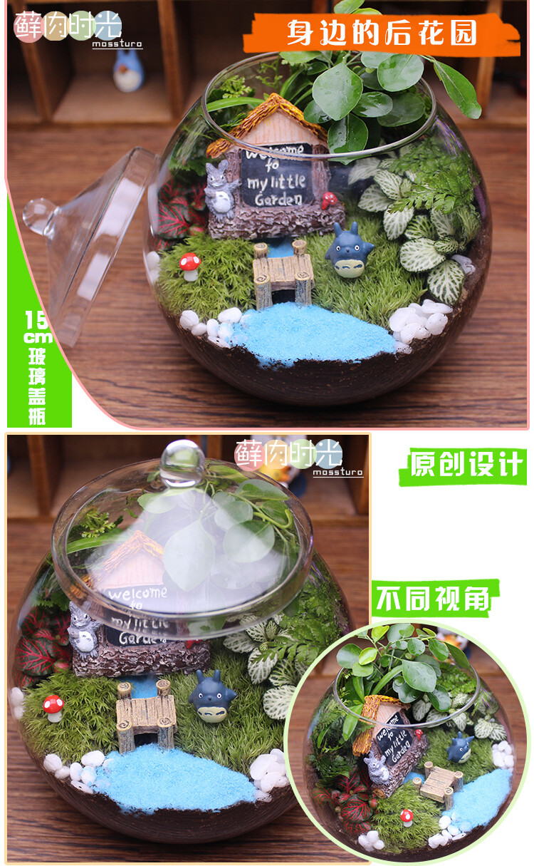 藓肉时光苔藓微景观创意迷你植物生态玻璃瓶创意礼物龙猫diy盆栽