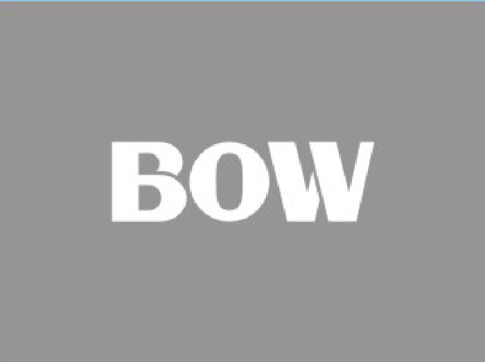 BOW 字母logo