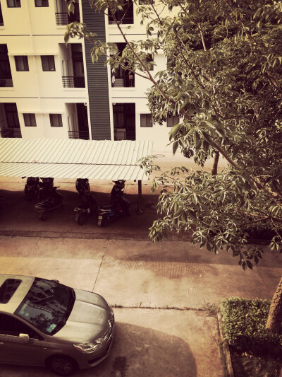 #倒计时53天#今天早上开始就下雨，鞋子浸湿得彻彻底底，但心情却格外的好