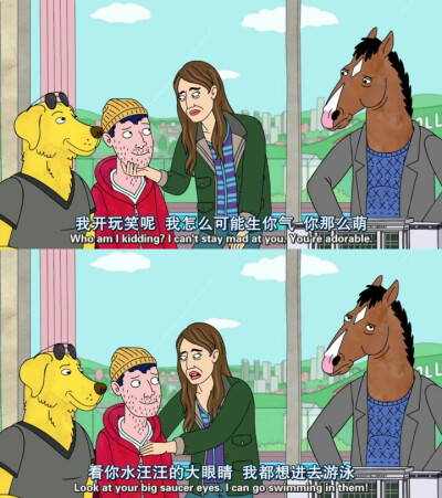 【马男波杰克】BoJack Horseman/凯尔西/陶德/生活/搞笑/文字/句子/经典句子/台词/毒鸡汤/动漫/二次元/截图