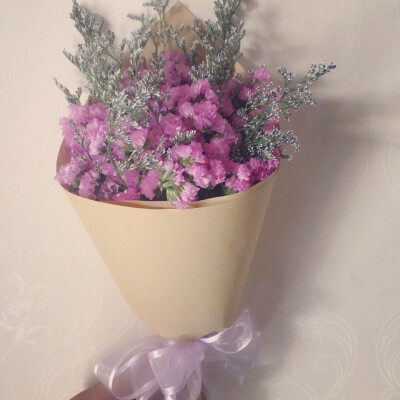 天然粉色满天星干花花束礼盒
【尺寸】长28cm 宽16cm
满天星/勿忘我干花精致礼盒 ✨ 5月20日 是美丽的表白日 520就是我爱你 我爱你已经超越我喜欢你 在特别的日子送到 可写纸片文字✨ 为我爱的你送上最美丽的意…