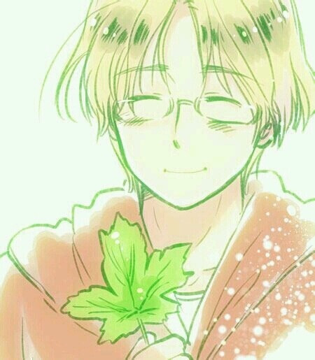 【黑塔利亚本家图|】#aph##黑塔利亚竹林# 【整理】马修的本家图合集.