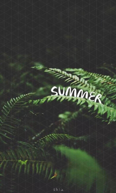 summer