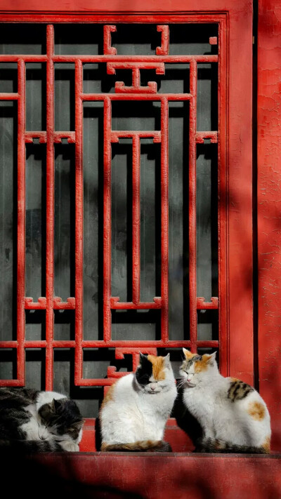 故宫.博物院