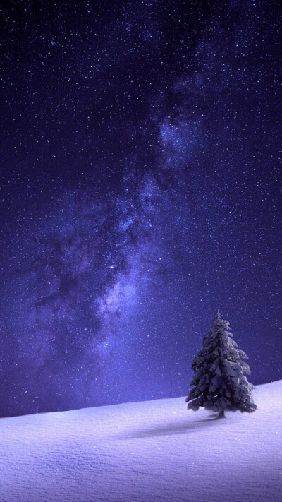 手机壁纸 极地雪夜景