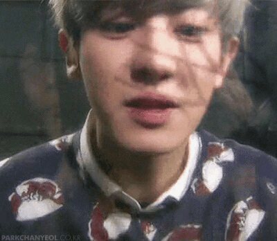 【instiz】来自#灿烈#的甜蜜Kiss~嗯~你们来说说这是给谁的呢?快盖章哦~不然可就要被人抢啦~(cr:logo)