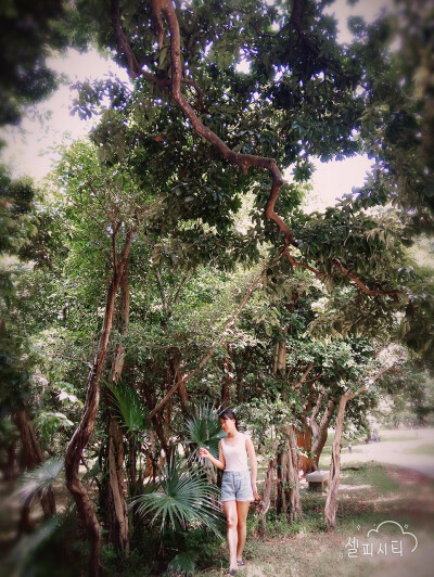 好像走进了热带雨林 有没有