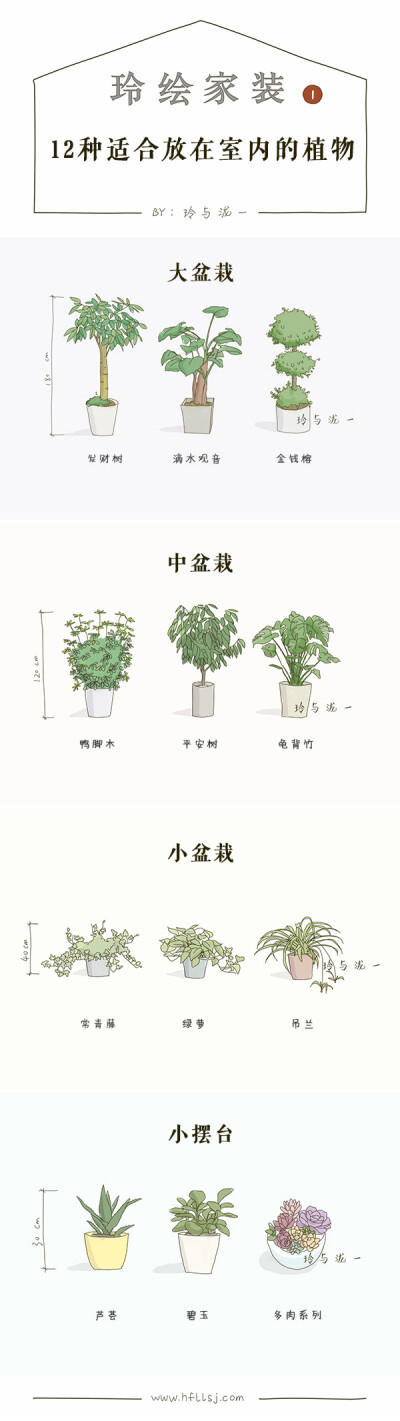 家庭装修中常见的盆栽。不同的风格，用的植物和盆都不一样。