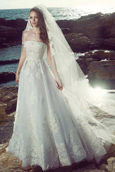 (｡◕ˇ∀ˇ◕）