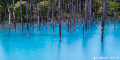 日本北海道美瑛青池Blue Pond
