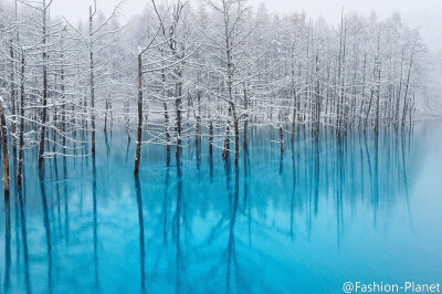 日本北海道美瑛青池Blue Pond