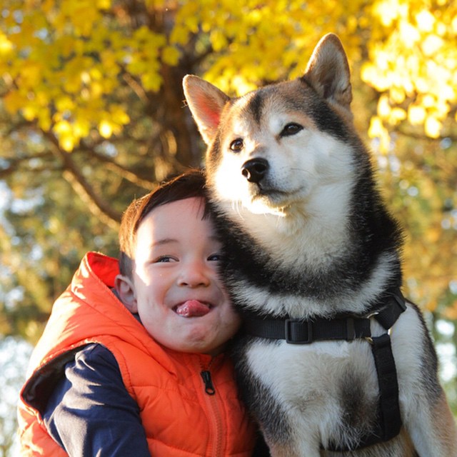 萌娃Issa和他的柴犬Maru 好有爱~