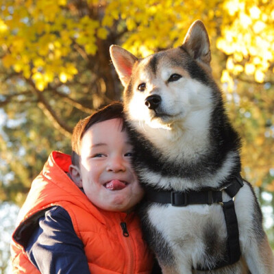 萌娃Issa和他的柴犬Maru 好有爱~