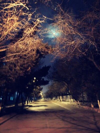 我在的城市，安静的夜，在这里，选择过安静的生活