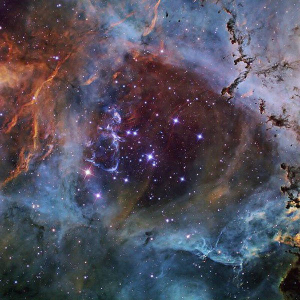 天文酷图# 玫瑰星云(ngc 2237)是一个的巨大电离氢区,位于麒麟座腋鲻