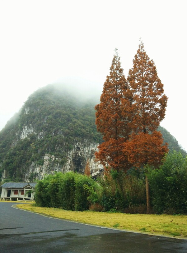 龙宫旋塘