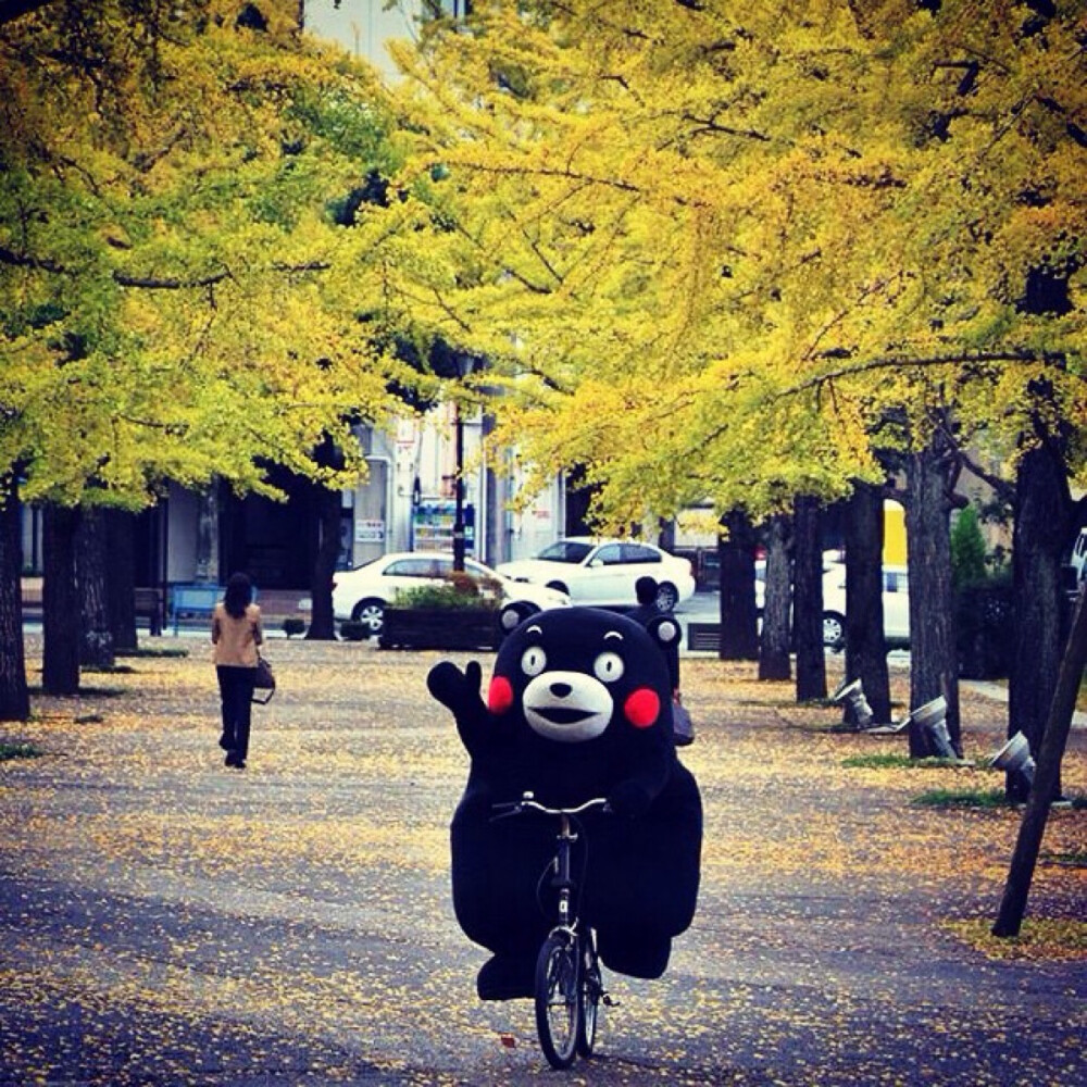 熊本熊✨清新