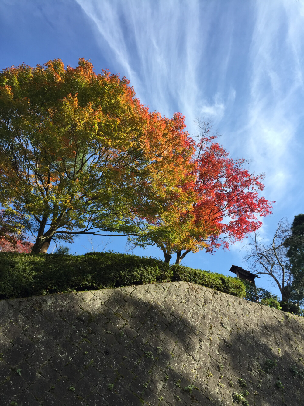 抬头望望天空#日本京都清水寺#