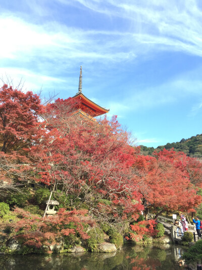 12月的清水寺#日本京都#