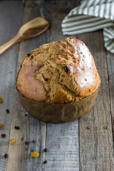 Quick Panettone (no yeast) 无酵母快手面包 素食主义