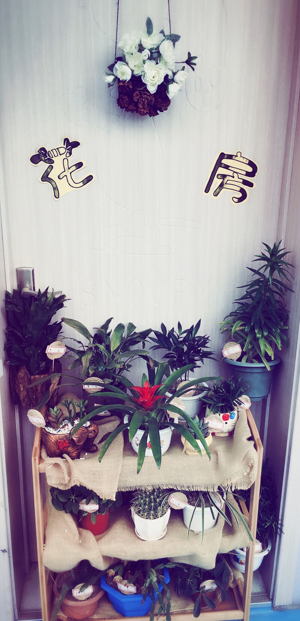 植物园