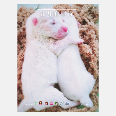 对你有过期待。