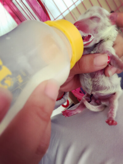 相遇都是缘分 能茁壮成长最重要