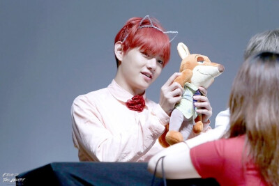 #金泰亨##金泰亨花郎# 【VELICITAS + @TOMYDARLING_V + @VISUAL_SHOCK +
@king_oftheheart 】160514 木洞签售会更新7P