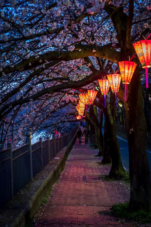 Follow The Light（日本，东京，沿河小路）