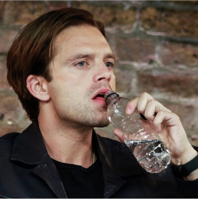 sebastian stan、好苏