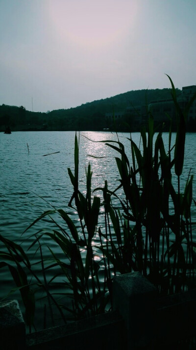 手机拍出了剪影的效果hhh