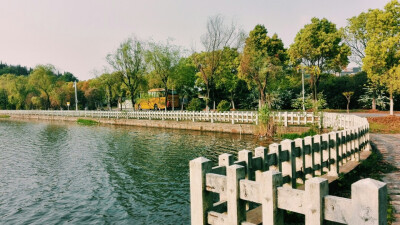 从东区散步到北区买水果～