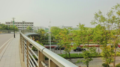 通往老北的桥～