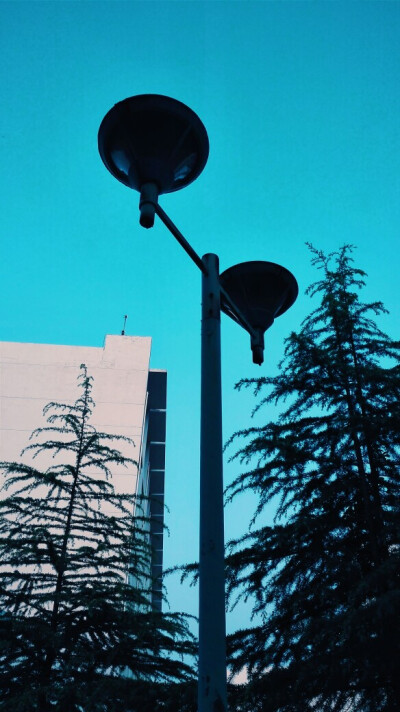 灯也挺好看的不是2333