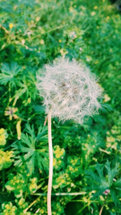 保持童心，吹前拍一拍～