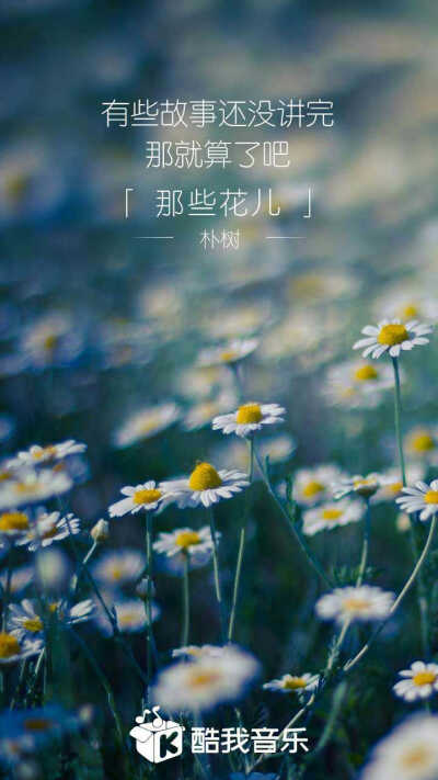 朴树《那些花儿》