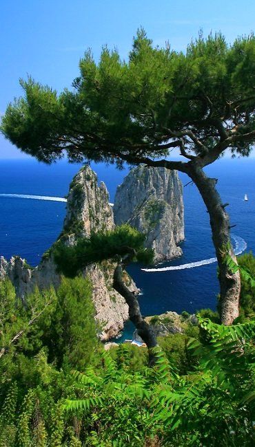 Twin Rocks, South Bay, Capri, Italy