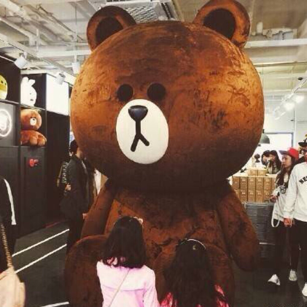 布朗熊&可妮兔 女头