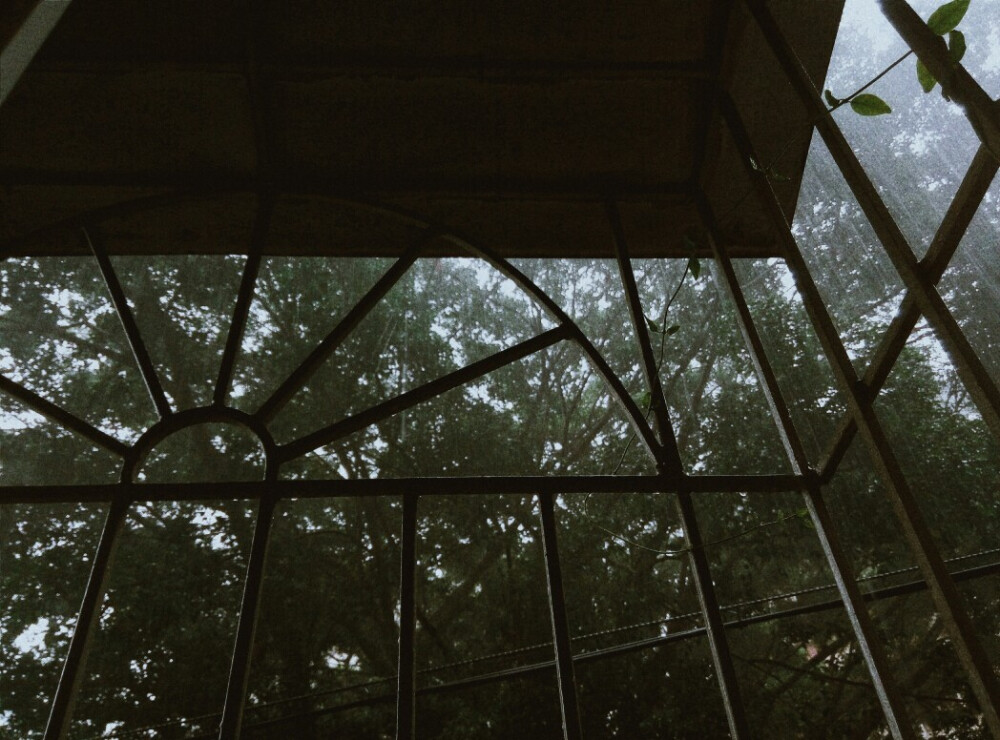 雨纷纷 旧故里草木深