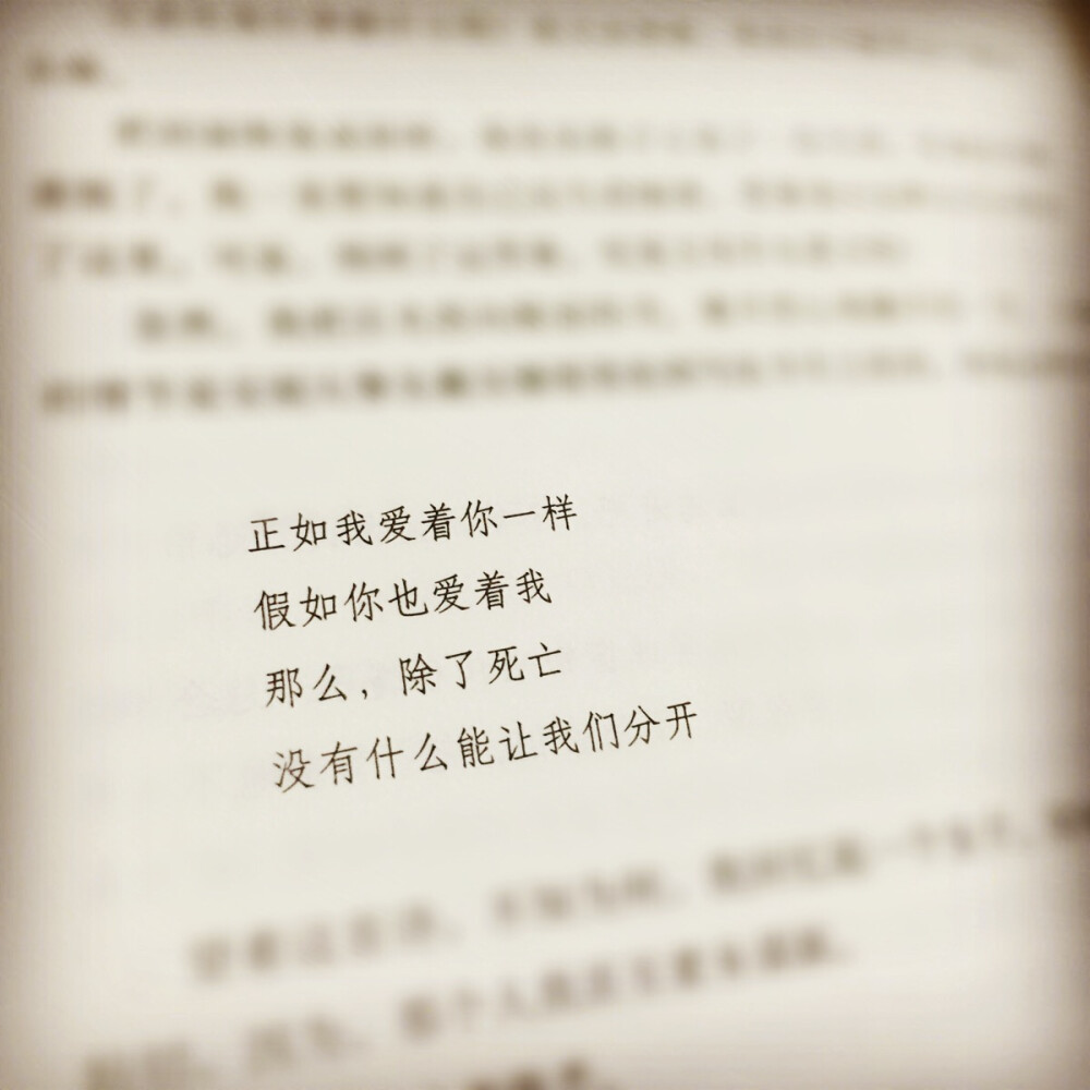 「我的恨，必须用死亡来消弭。但我的爱，却将在你的身上得到延续。我爱你。即使我们没有血缘关系。」——东野圭吾《分身》