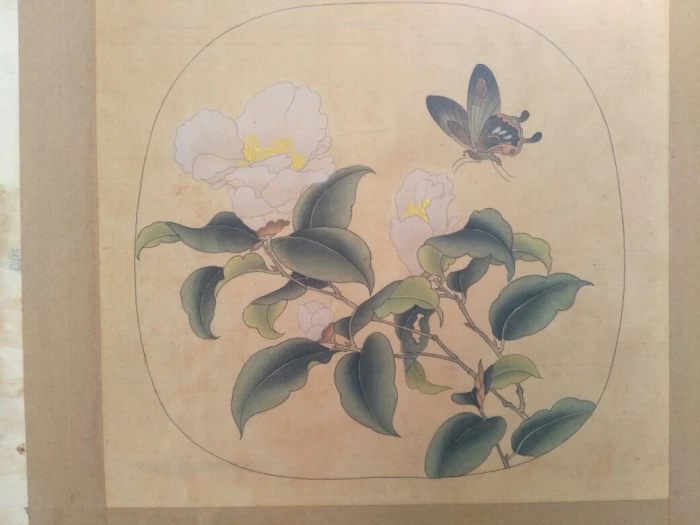 田小浩工笔临摹《山茶蝴蝶图》。 - 高清图片，堆糖，美图壁纸兴趣社区