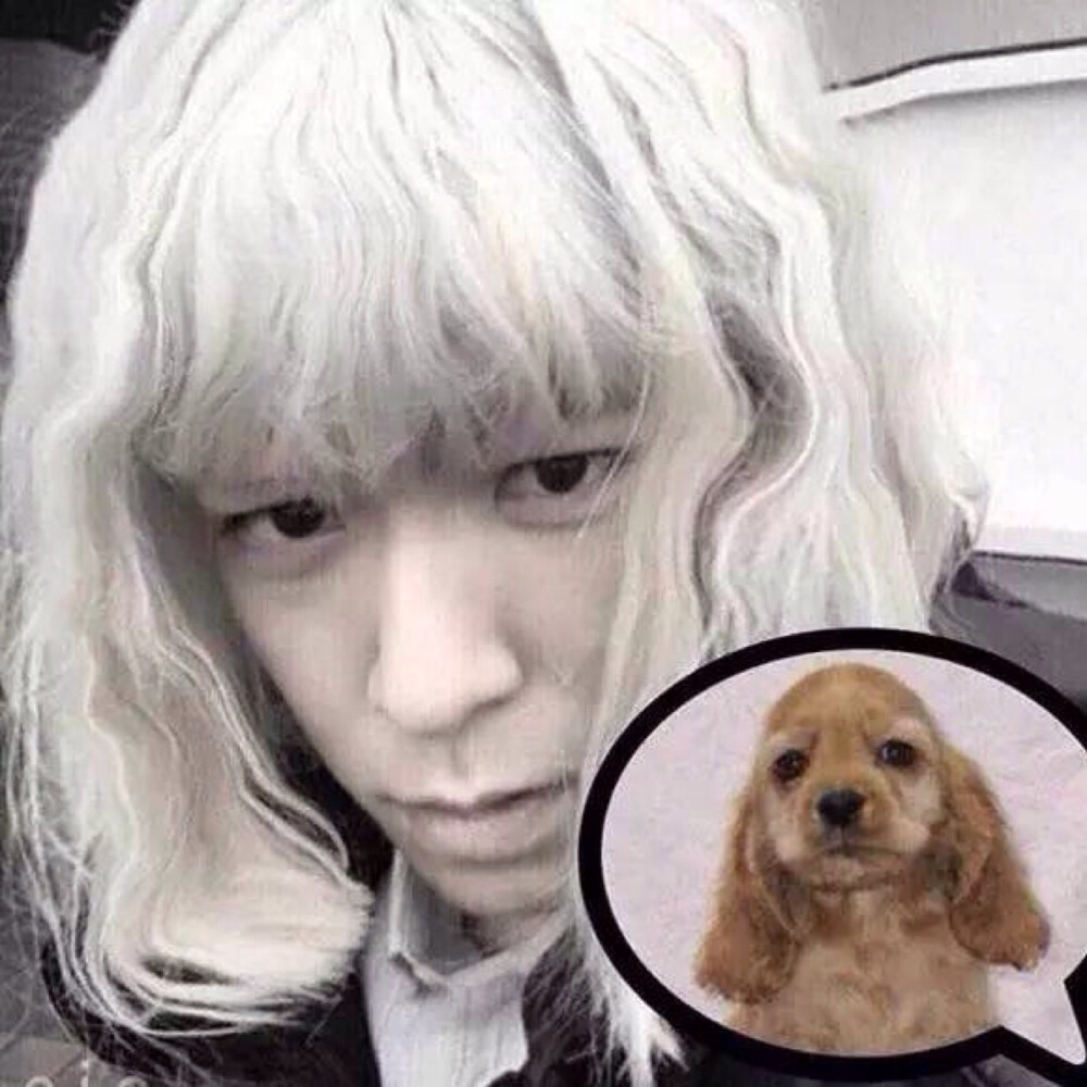 ‍这才是真的你！ 