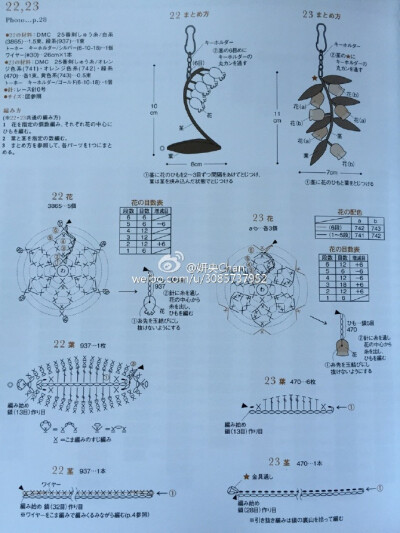 风铃草