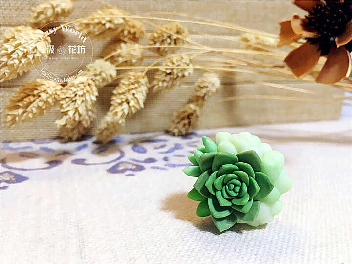 【一汲花坊】Easy原创•多肉植物手工软陶饰品 新娘婚礼款